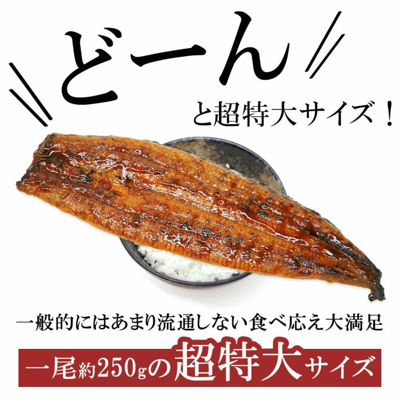 【プレーリードッグ】特大鹿児島産鰻 2尾