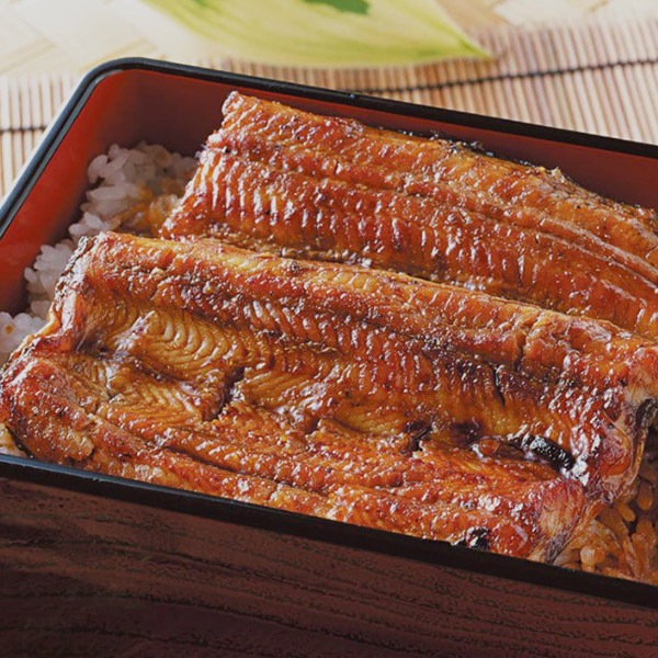 【プレーリードッグ】特大鹿児島産鰻 2尾