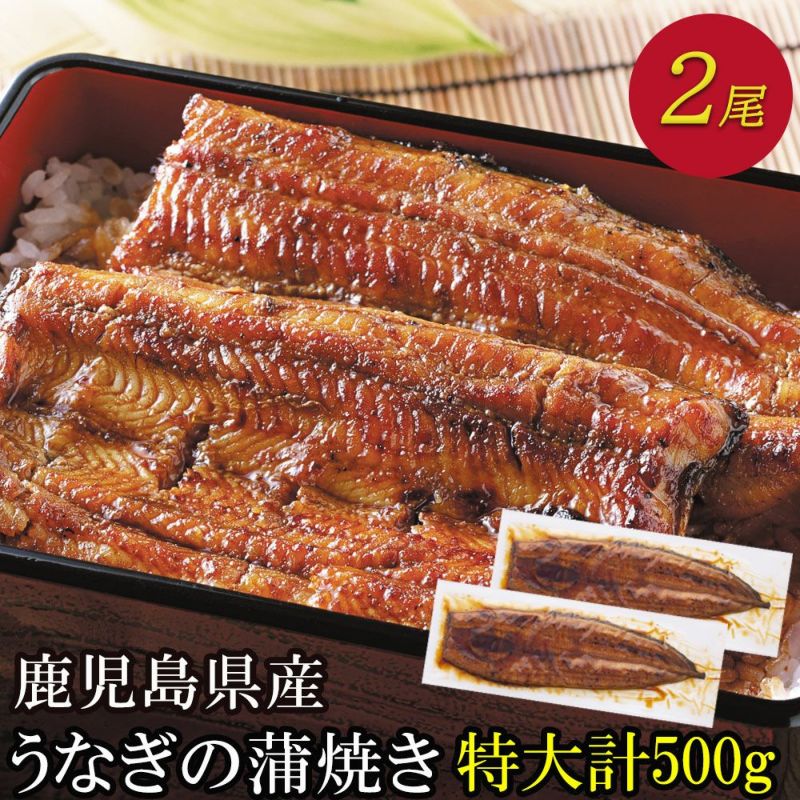 【プレーリードッグ】特大鹿児島産鰻 2尾