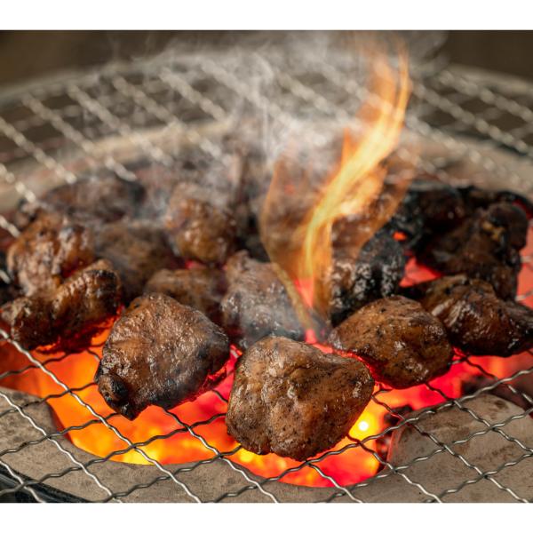 【MEAT PLUS】はかた地どり炭火焼セット500ｇ（100ｇ×5ｐ）