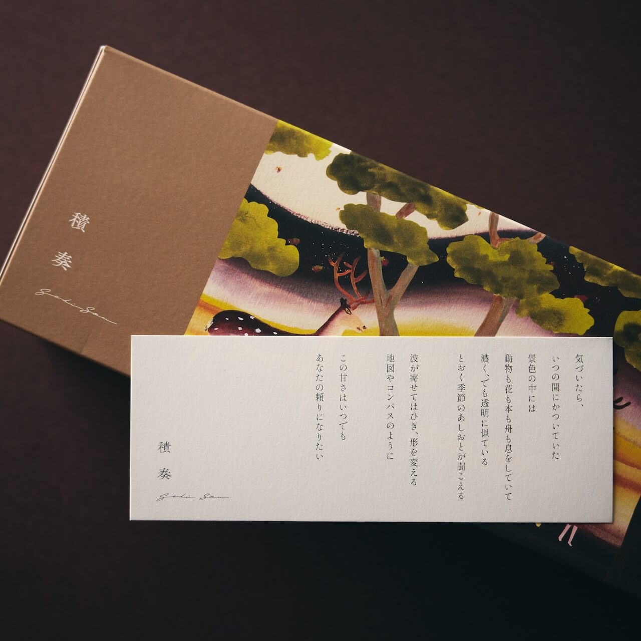 【積奏】ガトーガナッシュ 生キャラメルショコラ