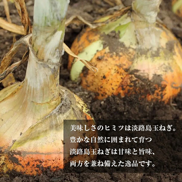 【淡路島の恵み】淡路牛100%入れすぎハンバーグ（冷凍）5個セット