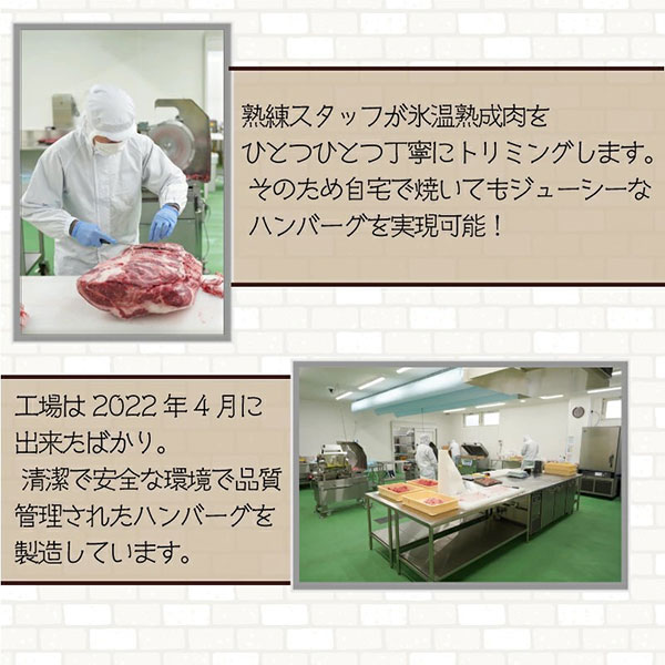 【淡路島の恵み】淡路牛100%入れすぎハンバーグ（冷凍）5個セット