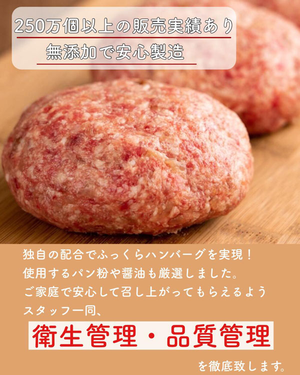 【淡路島の恵み】淡路牛100%入れすぎハンバーグ（冷凍）5個セット
