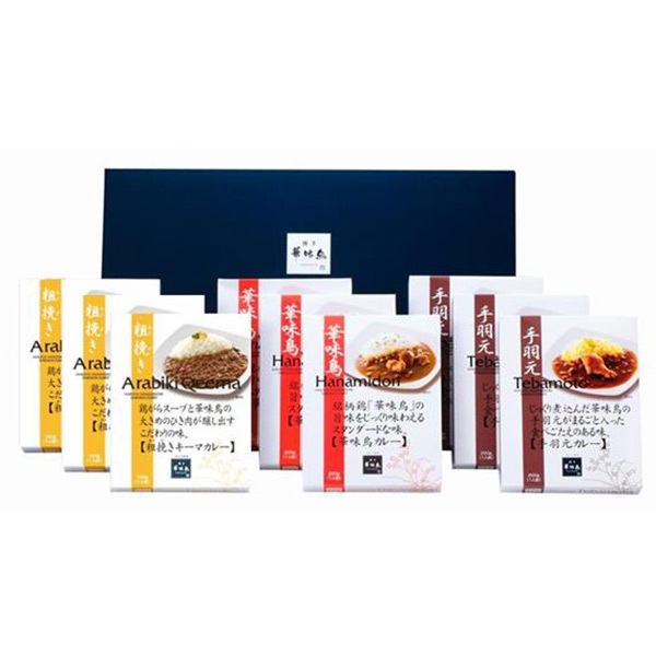 【博多華味鳥】カレーセット9食（HCS-3）