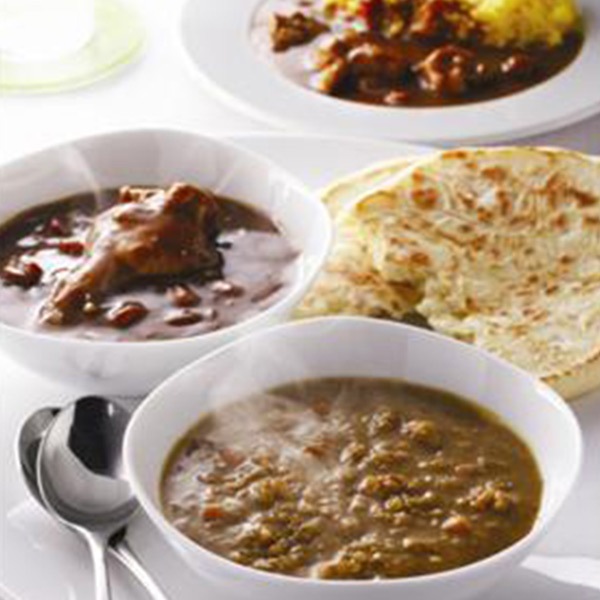 【博多華味鳥】カレーセット9食（HCS-3）