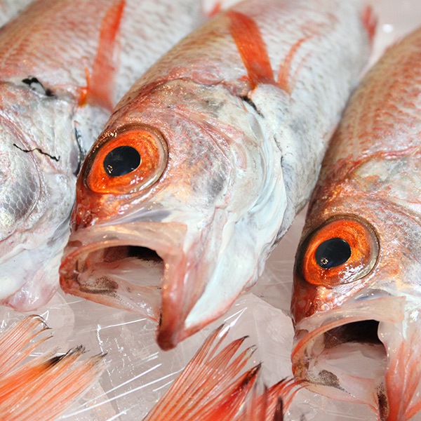 【天の酒喰食房】のど黒塩山椒煮ゼリー寄せ