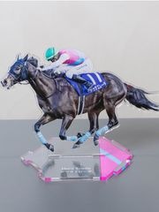 競馬必勝本ラクマ絶版2冊セット 競馬必勝本ラクマ絶版2冊セット 楽天市場】2（ギャンブル