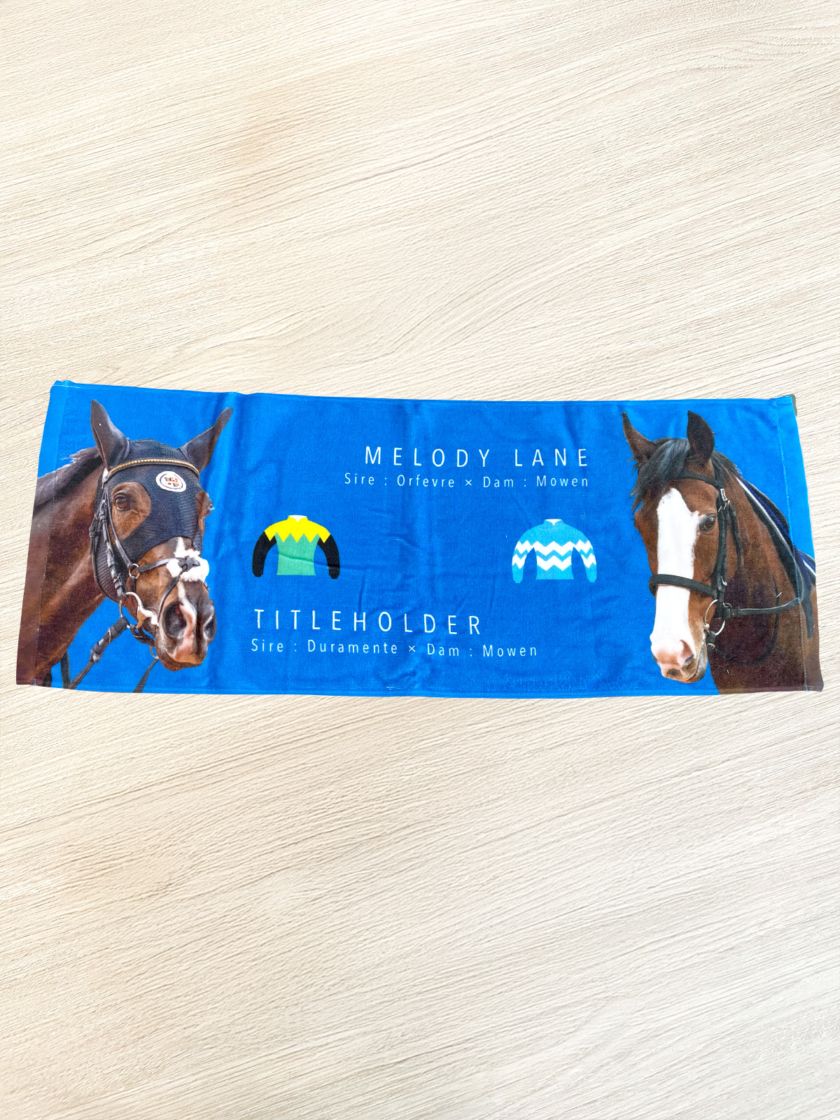 競走馬ストラップ15点セット【値下げしました！】 競走馬ストラップ15点セット【値下げしました！】 競馬グッズ
