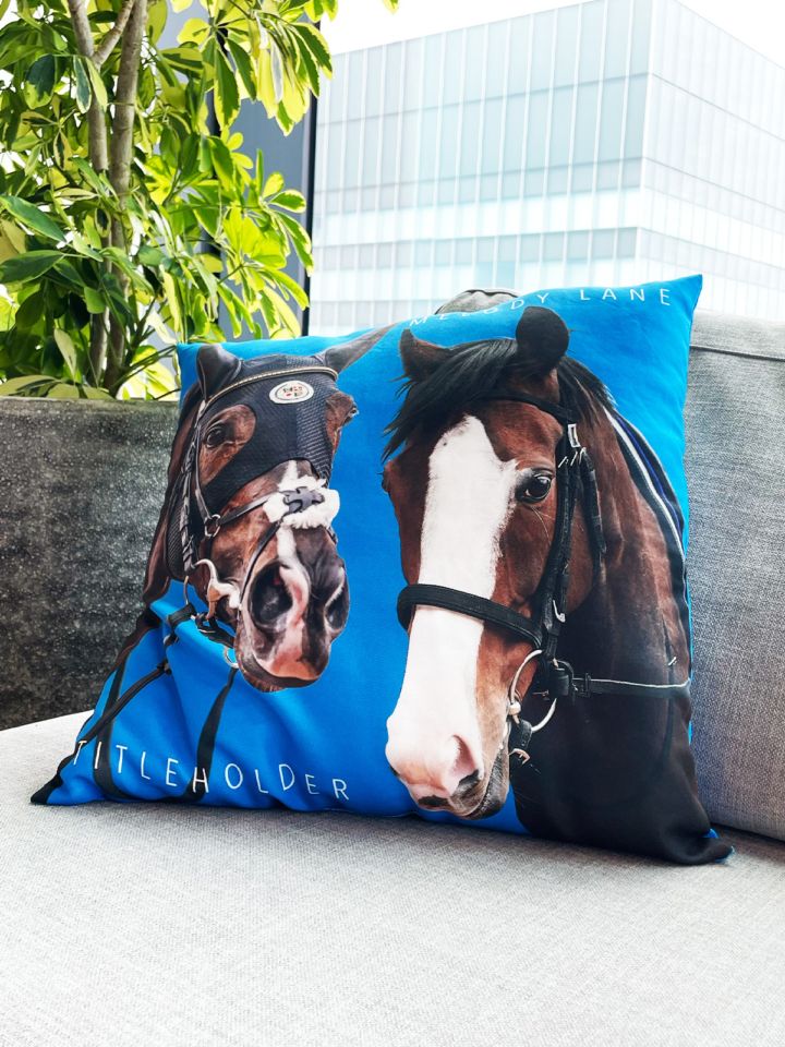◆　競馬　JRA　◆　ゼンノロブロイ　◆　有馬記念　◆　数量限定優勝シャツ　◆ hqdefault.jpg?v=61c20620