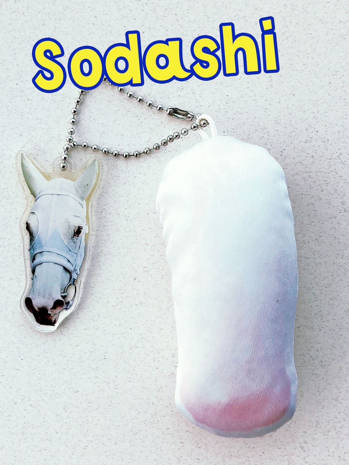 非売品イクイノックス　タイトルホルダー　グランアレグリア　ファイルセット競馬 イクイノックスクリアファイルセット（2枚組） | カテゴリー一覧
