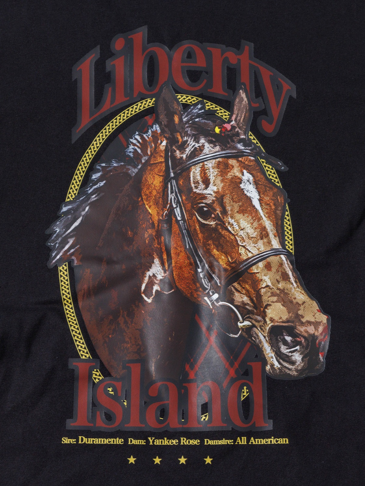 リバティアイランド/ドライTシャツ | 馬site グッズを買って引退