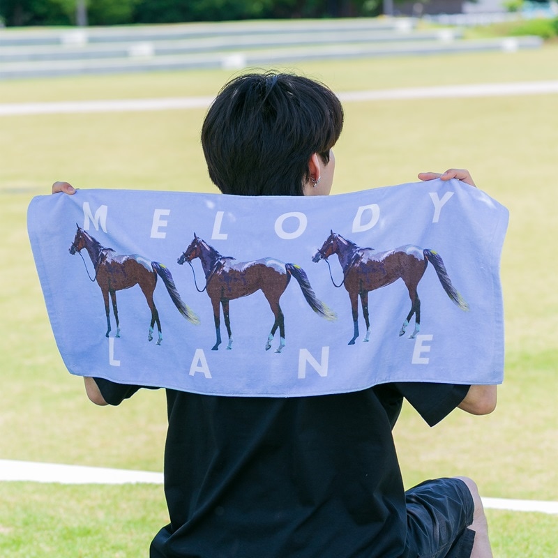メロディーレーン タオルセット HORSE GOODS net】メロディーレーン・タオル | HORSE GOODS net