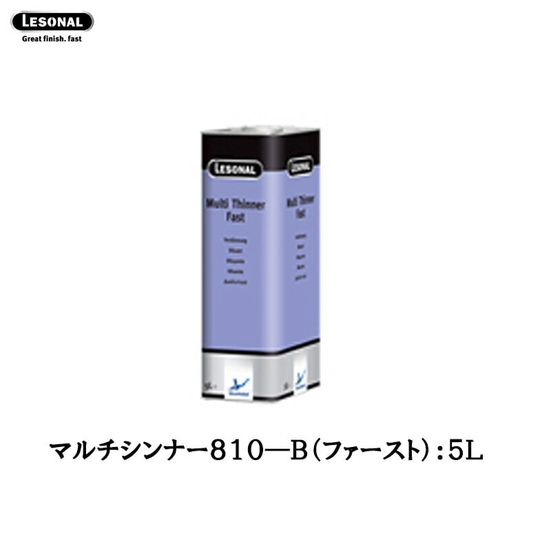 アクゾノーベル 512168 レゾナール マルチシンナーファースト 810-B(速乾) 5L 取寄
