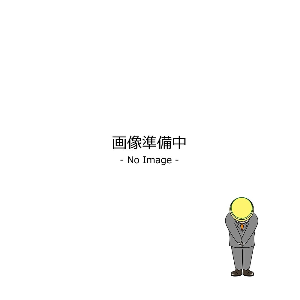 アクサルタ スタンドックス 02079316 エクストリームハードナースロー 1L×1個 取寄