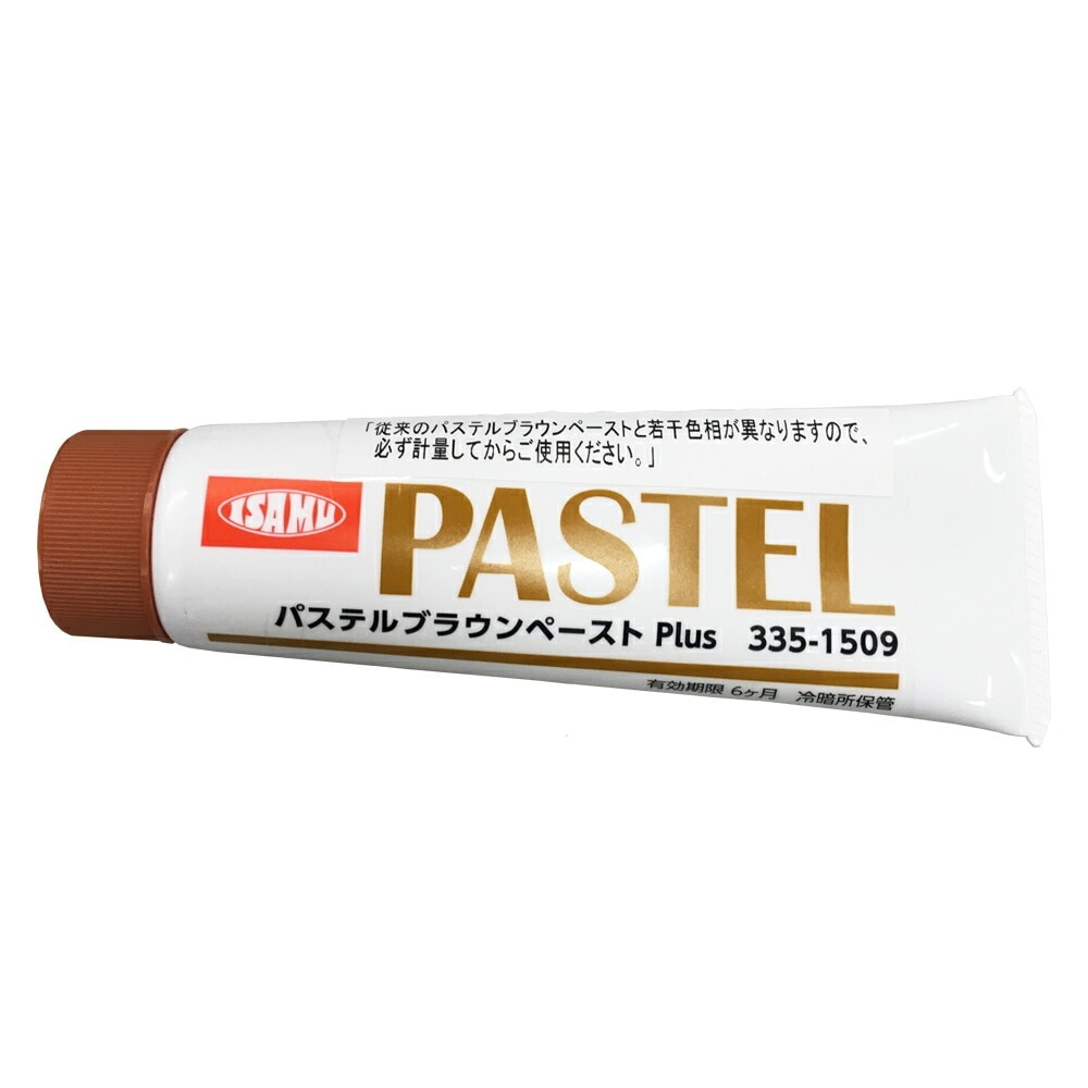 イサム塗料 335-1509-5 パステルブラウンペーストプラス 80g (硬化剤のみ) 即日発送