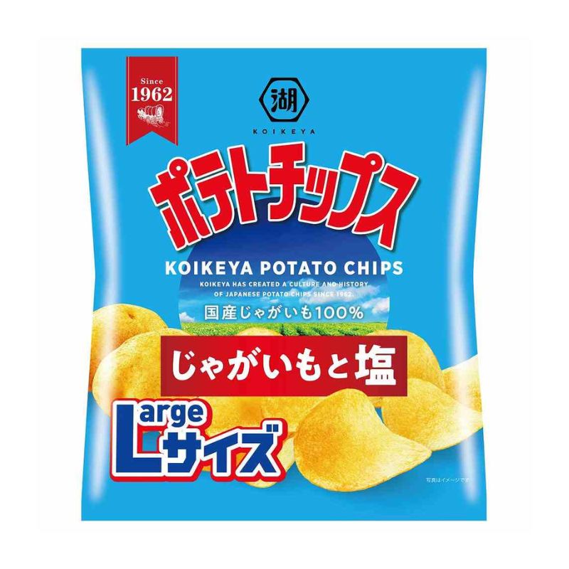 [12個]湖池屋 ポテトチップス じゃがいもと塩 Largeサイズ　122g　賞味期限2026.01.31
