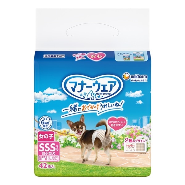 [送料無料]【直送品】ケース販売 マナーウェア女の子用ＳＳＳトラッドテイスト(42枚x12)　　