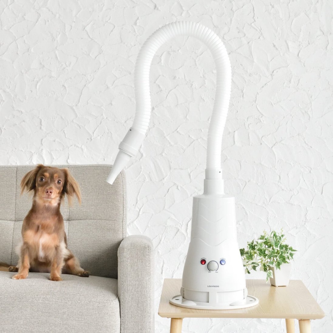 【美品】復元ドライヤー PET LJ-365P1 Amazon | LOUVREDO ルーヴルドー 復元ドライヤーPET 犬