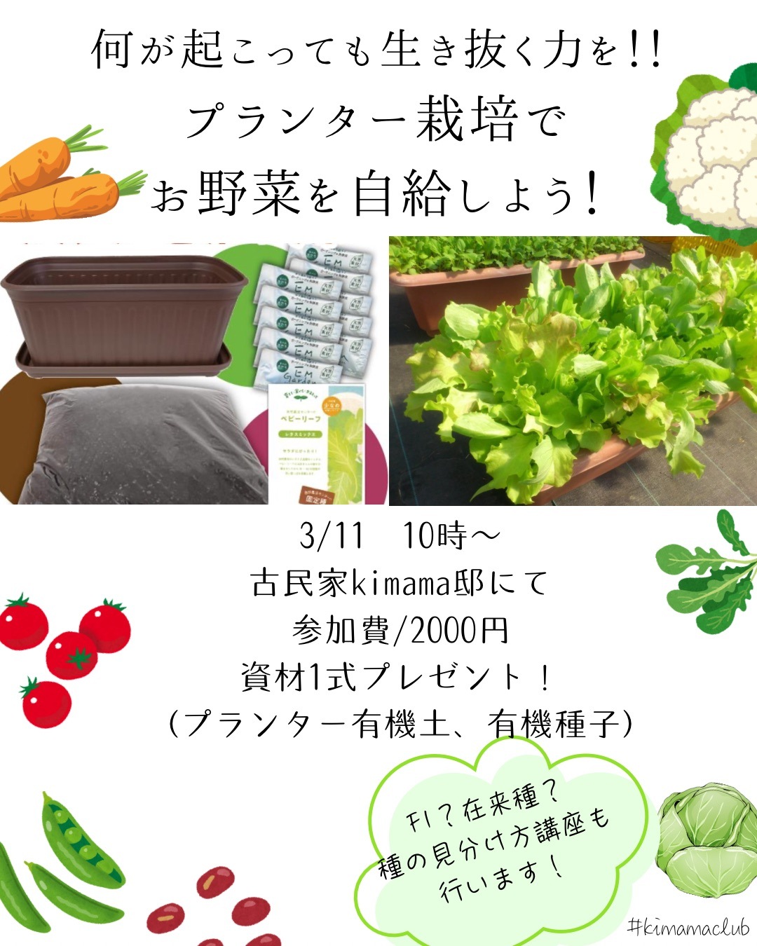 【オフライン】3月11日(水)10時～プランターでお野菜作り講座