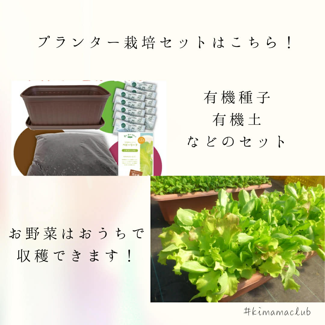 【オフライン】3月11日(水)10時～プランターでお野菜作り講座