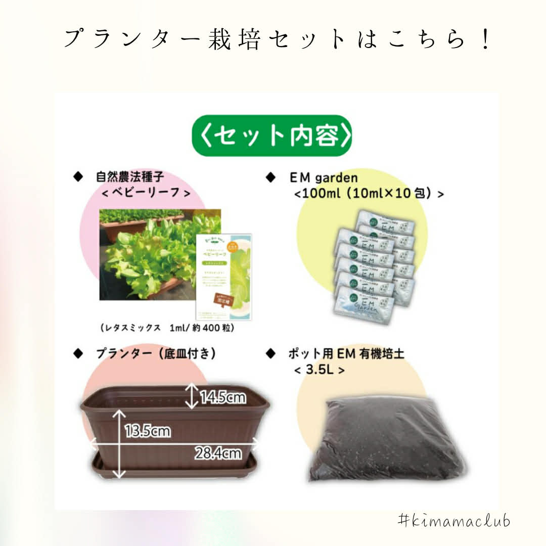 【オフライン】3月11日(水)10時～プランターでお野菜作り講座