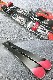 3050���ێ��Ǝ����� EXPE/RD 144cm��S������/����ڎݎ��� #���������󥿥�