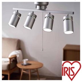 /4󥰥饤 CE4LA-22SS-MS ᥿åС/ꥹ/A0089L-IR