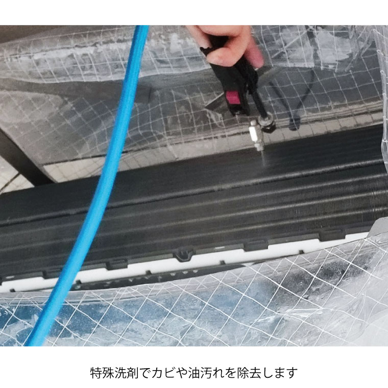 �������󥯥꡼�˥�/�����ݽ���ǽ�ս����������ʥɥ��ۡ������ݹ��ߡ�/�ץ��ˤ��ޤ�����������/K0120M