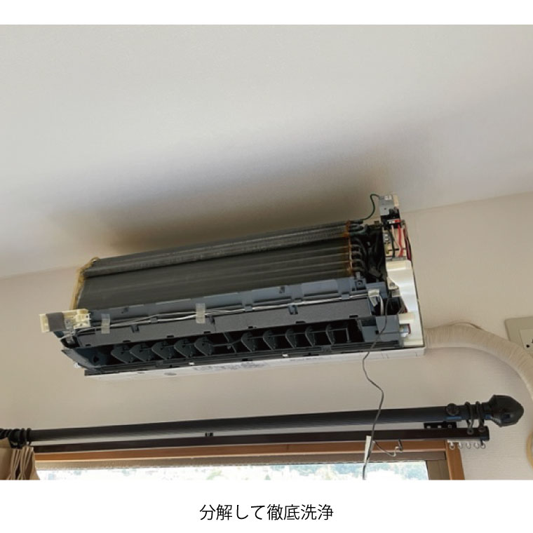 �������󥯥꡼�˥�/�����ݽ���ǽ�ս����������ʥɥ��ۡ������ݹ��ߡ�/�ץ��ˤ��ޤ�����������/K0120M