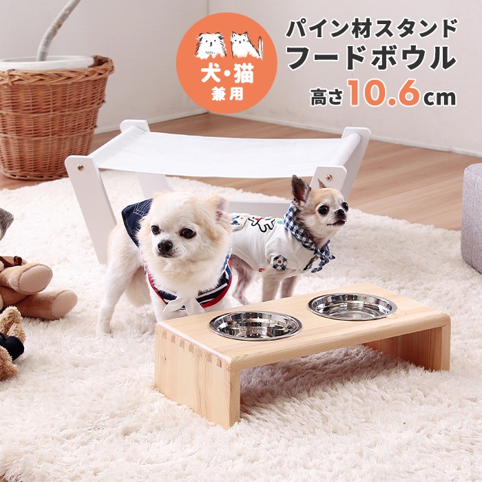 �ڥå���/�ѥ���ॹ����� �ա��ɥܥ���/�⤵10.6cm/����̵��/A0342L-ST