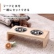�ڥå���/�ѥ���ॹ����� �ա��ɥܥ���/�⤵10.6cm/����̵��/A0342L-ST