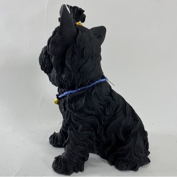 ����Ĺú���˥ޥ롡�ޥ������/�衼�����㡼�ƥꥢ���ý����̤⤢�ꡢ����ƥꥢ��ץ쥼��Ȥ˺�Ŭ�Ǥ���/��������/N0016GE