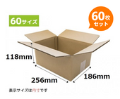 ܡȢ 256186118mm 60祻å ء椦ѥå60ѡE4ˡˡ͡ĿͻȼѾʡ