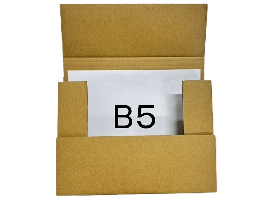 ȥB527019055mm ñ52 1ѥå50(ˡ͡ĿͻȼѾ)