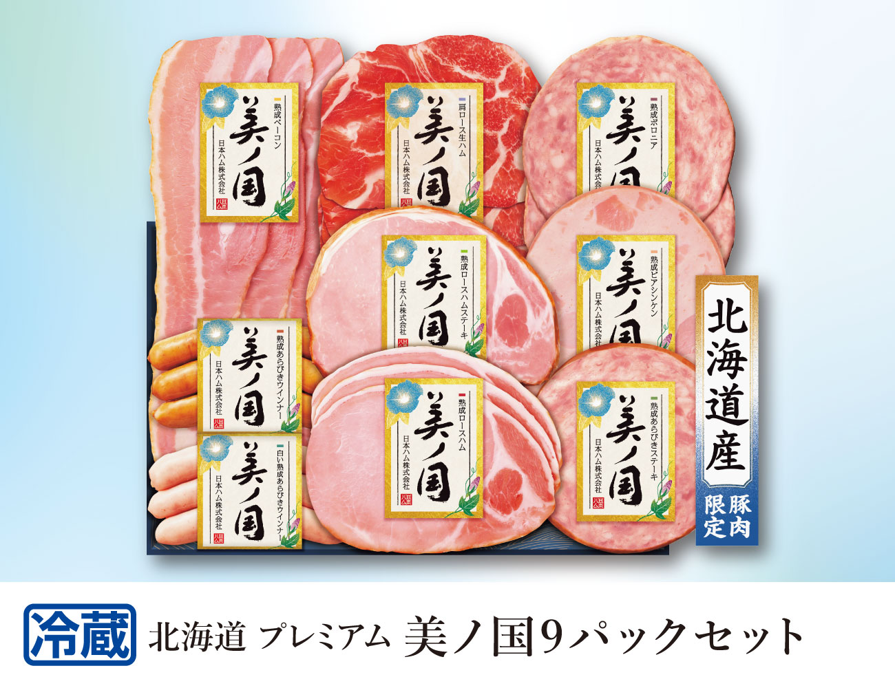 北海道プレミアム 美ノ国9パックセット 早割【ギフト】