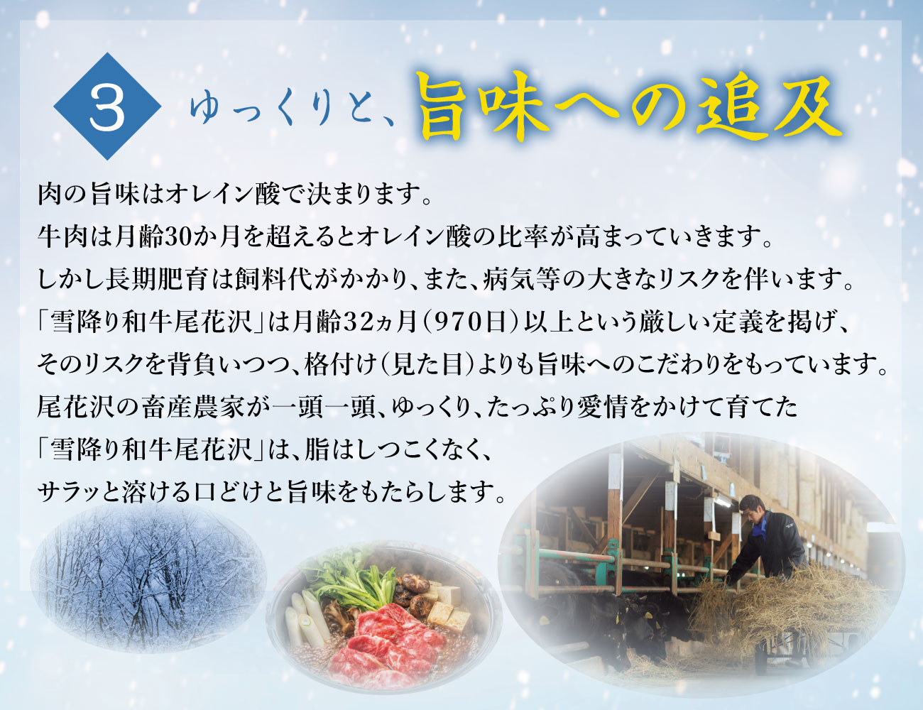 雪降り和牛 尾花沢 霜降りすき焼き・しゃぶしゃぶ用お重 早割