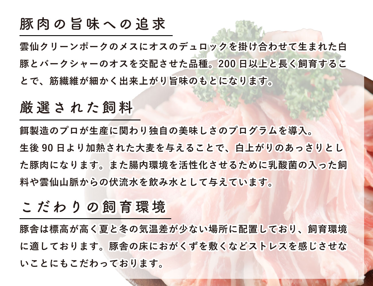 雲仙きわみ豚 生大腸(200g)