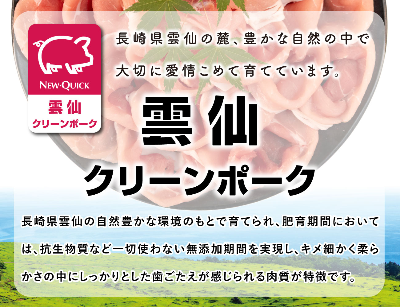雲仙クリーンポーク メンチカツ(80g×10枚)