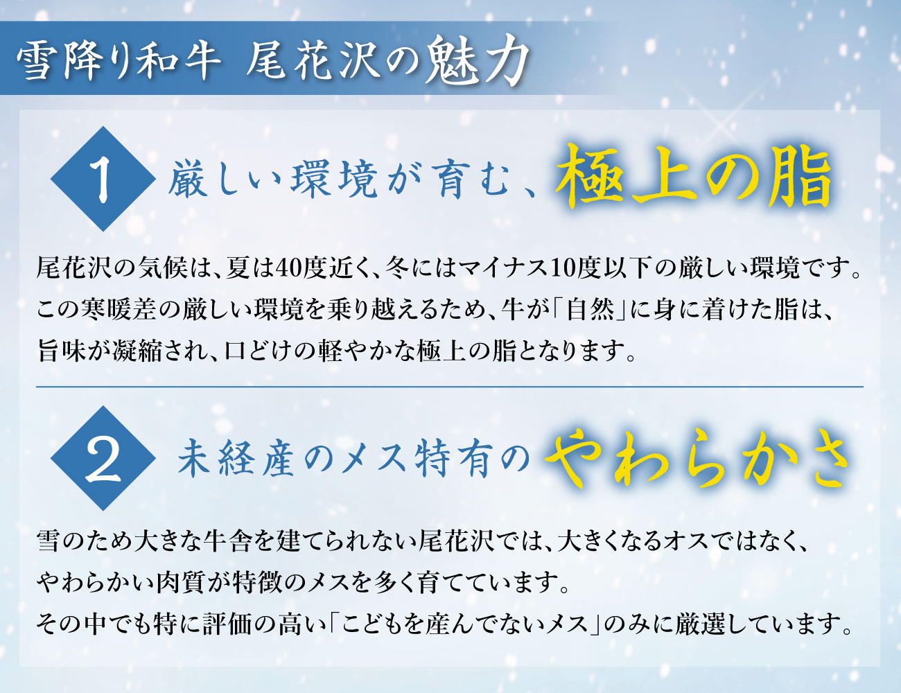 雪降り和牛 尾花沢 ステーキ用お重 通常