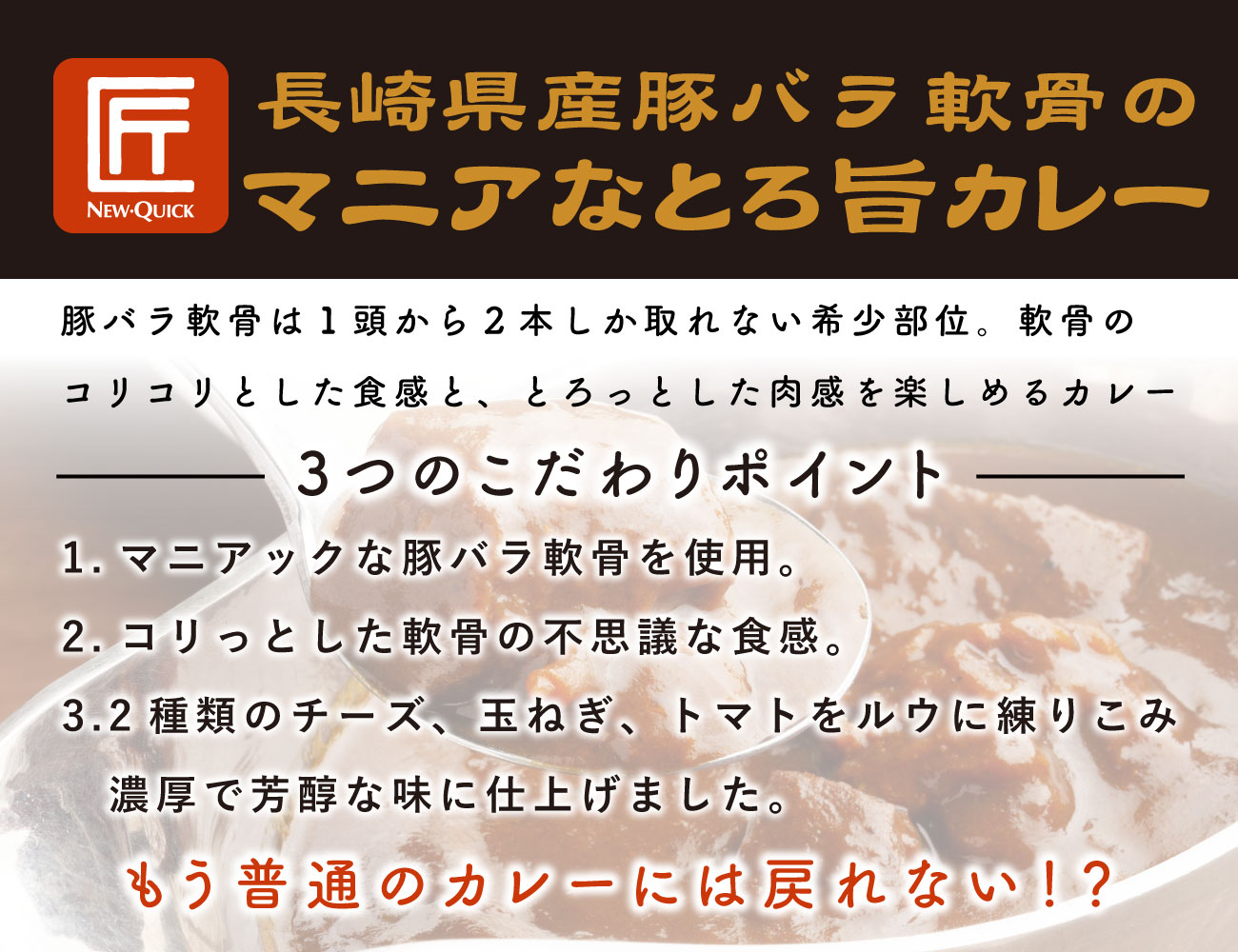 長崎県産豚バラ軟骨のマニアなとろ旨カレー（1P）