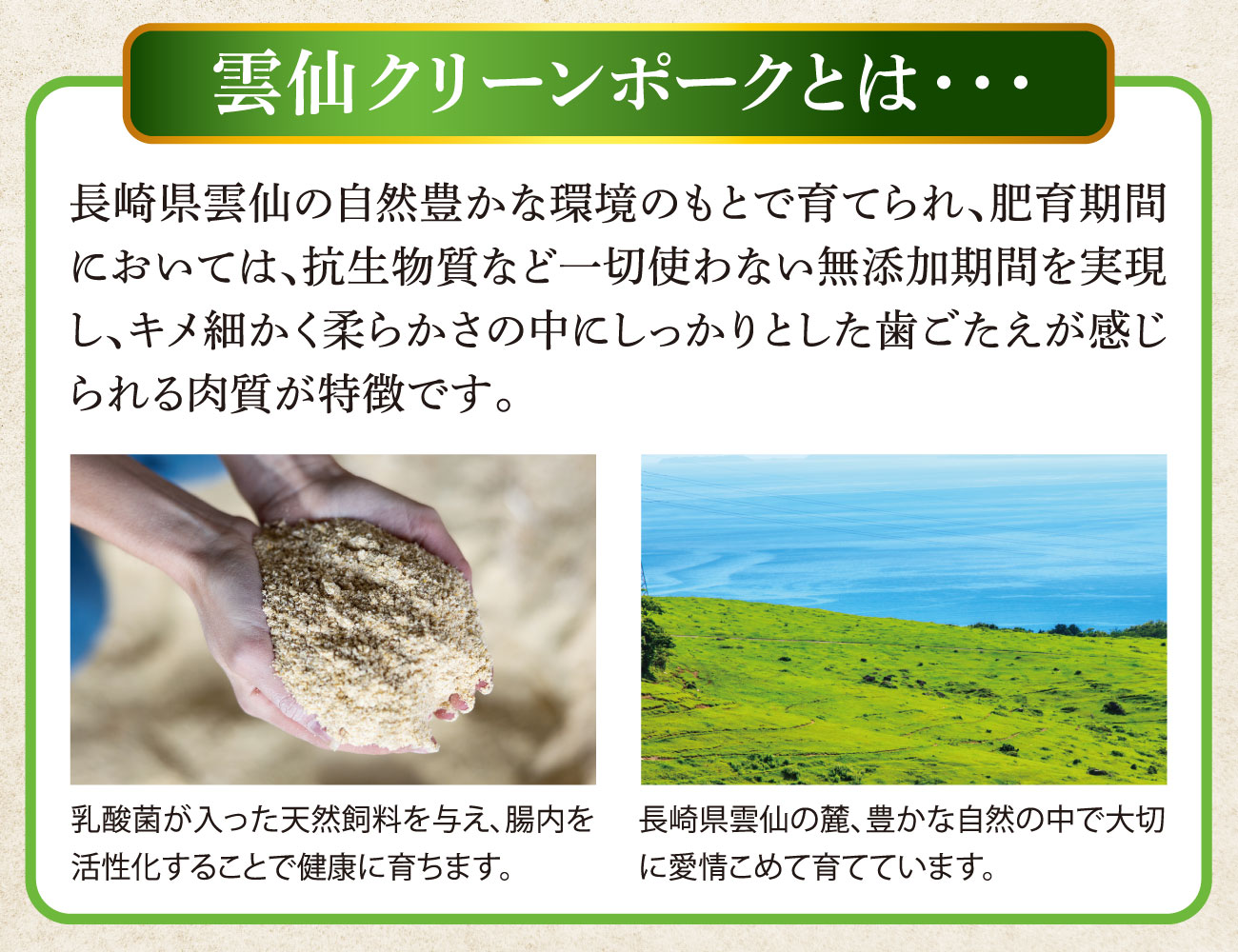 雲仙クリーンポーク とん漬け 紅白セット 通常【ギフト】