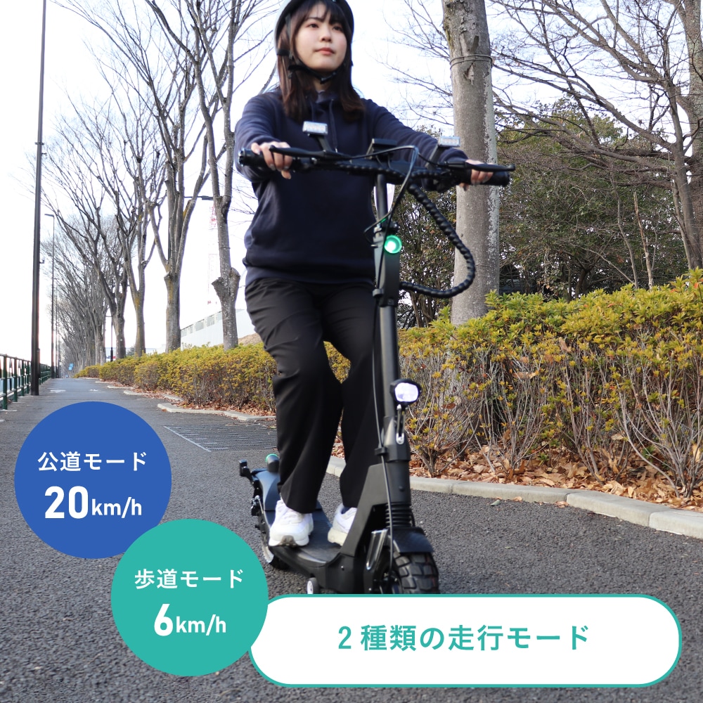 4_000000000534.jpg?1741247988