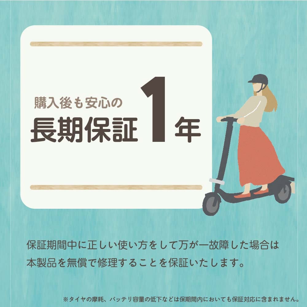 特定小型原動機付自転車 サドル付きタイプ WZ-KICK01-BK | WEZONE