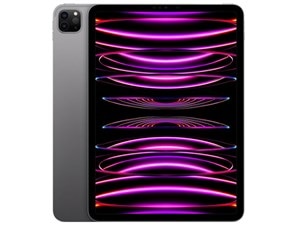 iPad Pro 11����� ��4���� Wi-Fi 2TB 2022ǯ����ǥ� MNXM3J/A [���ڡ������쥤]