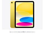 iPad 11����� Wi-Fi 256GB 2025ǯ�ե�ǥ� MD4J4J/A [��������]