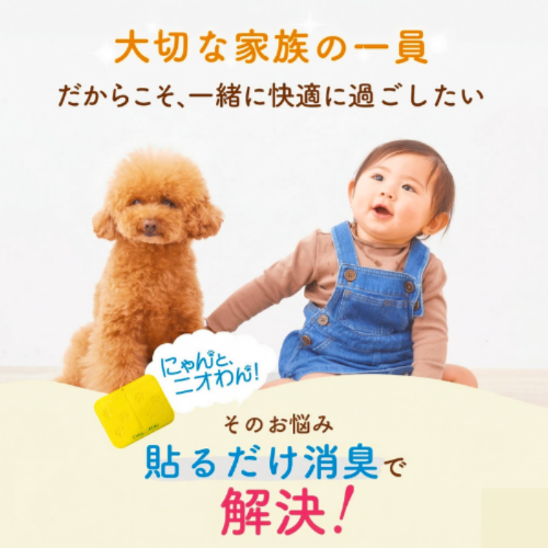 【にゃんと、ニオわん！】詰替用シート《定期コース2か月分》《送料無料》