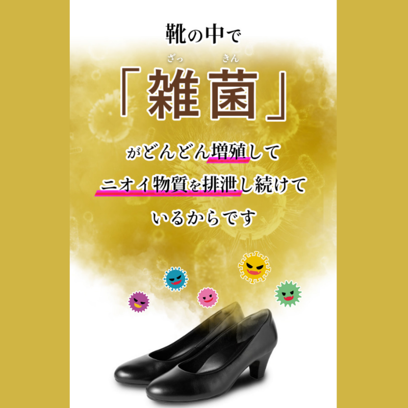 【シューズキュア】ケースセット