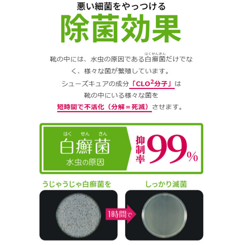 【シューズキュア】ケースセット