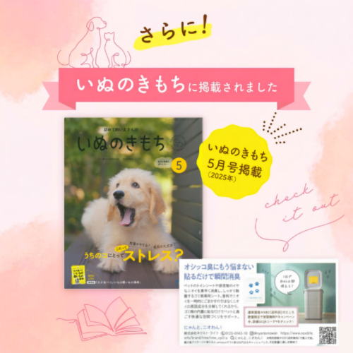 郵送お得版！【にゃんと、ニオわん！】詰替用シート